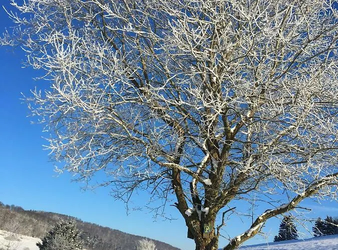 Дом отдыха Im Himmel